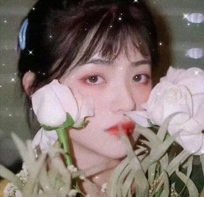 监视对象