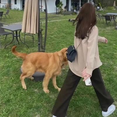 又见稻乡